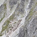 Im Abstieg zwischen Východná Vysoká und Poľský hrebeň - Blick zum "Wanderweg", der hier sehr steil hinauf zum Sattel Prielom führt.