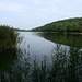 Am Ufer des Hársas-tó