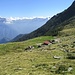 Rifugio Alpe di Carnacc