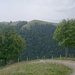 Blick vom Imibodenweideli auf die drei Bock-Hügel, v.l.n.r.: P.1252,0m, Bock (1253m) und P.1245m.