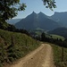 Au début de la montée vers Plan Francey, les dents de Broc et du Chamois dominent la vue vers l'est