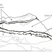 <b>La piega del Monte Leone è una delle più spettacolari strutture geologiche delle Alpi. Essa coinvolge corpi rocciosi con differenti composizioni e provenienze (falde di ricoprimento), che si sono sovrapposti in seguito alle spinte compressive che hanno originato la catena alpina. È ben evidenziata da una fascia di rocce più scure (calcescisti del Mesozoico), che separano il nucleo, costituito dagli gneiss del Lembo del Berisal, dalla parte esterna, formata dagli gneiss della Falda del Monte Leone (esposti alla base e alla sommità della parete rocciosa).</b>