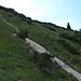Wegloser Abstieg vom Altenberggrat zur Altenbergalpe / discesa senza sentiero dalla cresta ai prati dell`Altenbergalpe