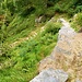 Der lange Heimweg