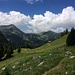 die Untere Haseneck-Alpe vor dem Entschenkopf und Schnippenkopf
