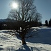 Winter Impressionen by alpinbachi