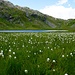 Lago Grande am Passo de Balniscio