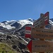 incrocio glaciologico