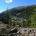 quasi arrivati