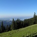 Chiemsee
