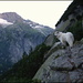 Blick ins Tal.