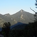 Hochgern