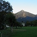 Hochgern