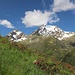 Alpenrosen und <a href="http://www.hikr.org/tour/post55958.html">Innere Wetterspitze</a> links
