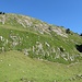 Am rechten Bildrand im unteren Bilddrittel sieht man die Krautrinne mit Baumgruppe, welche den Aufstieg vom Chängel zur Via Glöbeli vermittelt.