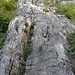 Lustig ist eine Stelle in einer steilen Felsrinne, die nicht nur mit Holztritten entschärft wurde, sondern wo man zusätzlich im Fels die zu benutzenden Tritte und Griffe blau markiert hat!<br />
