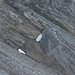 A path was visible in the scree towards Martinsloch.
