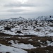 schöne Winterkontraste: Der schneefleckige Kahlschlaggrund im Vordergrund geht nahtlos in die Felsberge des Wetterstein über - in Bildmitte die Dreitorspitzen