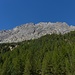 foreste e roccia