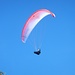 Viele Paraglider starten auf der Berneuse.