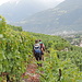 Durch die Weinberge abwärts zum Bahnhof