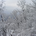 Wintermärchen auf dem Lägeren