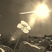 giochi di luce