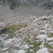 Mehrere Steinböcke besiedeln die Hänge unterhalb des Mont Clapier.
