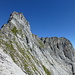 Aufstieg von der Unteren Engellücke über Gras- und Felsschrofen zum Gross Engelhorn SSW-Grat. Rechts Urbachengelhorn mit W- und Hauptgipfel, hinten die Sustenberge