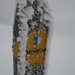 Bezeichnend für die ganze Tour: Schnee in hübschen Formen und viel Nebel auf dem Luzerner Wanderweg