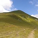 Trittwangkopf