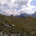 Die Geissen auf dem Grat