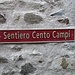 Scaiano
