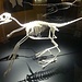 3D-Modell des Archaeopteryx