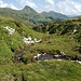Im Anstieg zum Portlerhorn