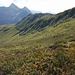 Im Süden das Glatthorn