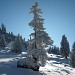 Winterimpressionen