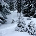 Markierter Schneeschuhweg zum Furggelenstock