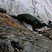 Gletscherzunge.<br /><br />Foto vom weiter nach untern reichenden Teil des Ледник Домбайский (Lednik Dombajskij).