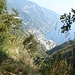 Die Steilküste bei Positano steigt bis auf 1443 m an-