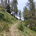 sentiero GVO per il lago Lavazza