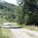 Blick zurück zur T-Kreuzung. Am Waldrand ist die Markierung zum kurzen "Abschneider" erkennbar.