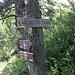 Am Fuß der Felsen stoße ich auf den Parallelweg...
