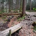 schön angelegte Wanderwege
