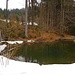 Kleiner Weiher im Höllanger