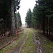 Kammweg zum Nemlerspitz