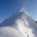 Kamm-Gipfel (2123 m): Zahlreiche Tierspuren weisen den Weg, wobei nicht alle vertrauenserweckend aussehen...