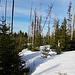 Auf dem breiten Kamm zum Gerenköpfle liegt noch einiges an Schnee, zum Glück schön fest und tragfähig