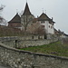 das Schloss in Erlach