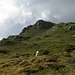 Geisshorn